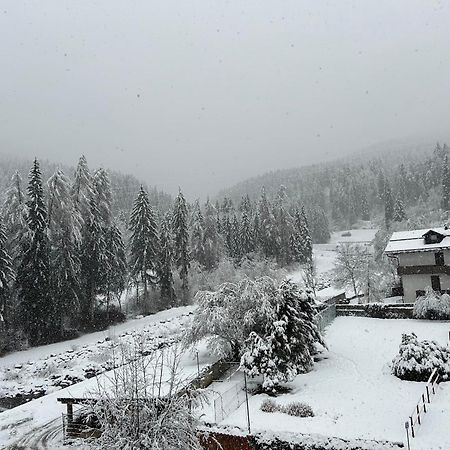 Dolomia Apartments & Spa Dimaro Esterno foto
