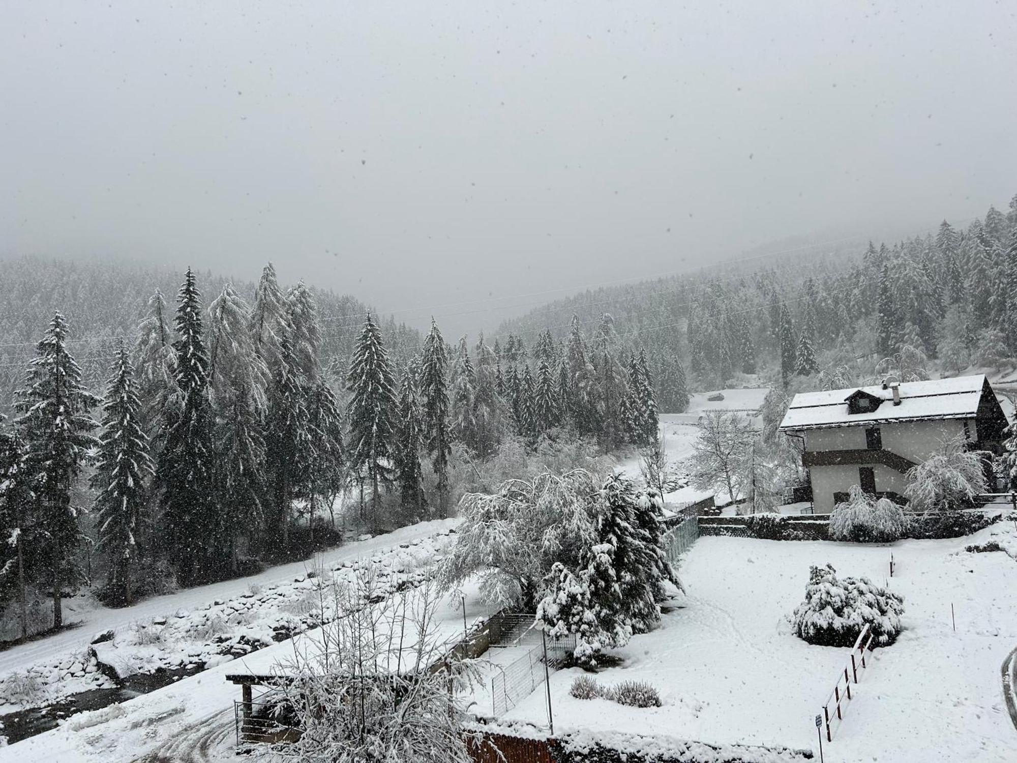 Dolomia Apartments & Spa Dimaro Esterno foto